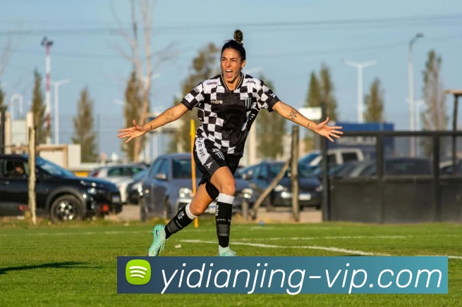 壹电竞VIP发展历程